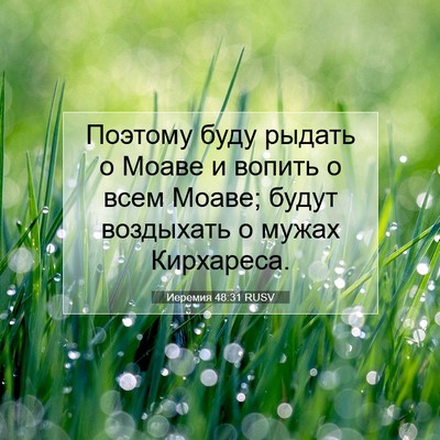 Picture 07 - Иеремия 48:31 RUSV - Поэтому буду рыдать о - Bible Verse Picture
