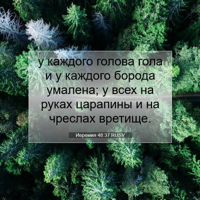 Picture 07 - Иеремия 48:37 RUSV - у каждого голова гола и у - Bible Verse Picture