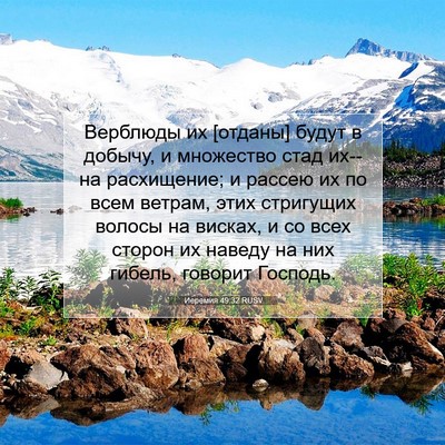 Picture 07 - Иеремия 49:32 RUSV - Верблюды их [отданы] будут - Bible Verse Picture