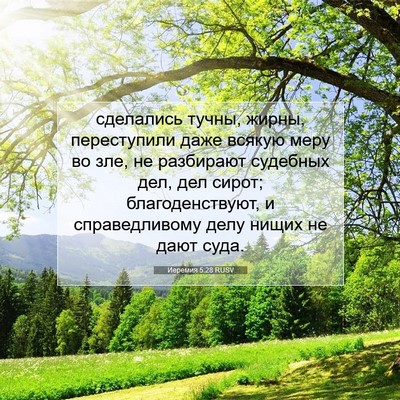 Picture 07 - Иеремия 5:28 RUSV - сделались тучны, жирны, - Bible Verse Picture