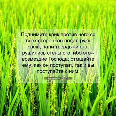 Picture 07 - Иеремия 50:15 RUSV - Поднимите крик против него - Bible Verse Picture
