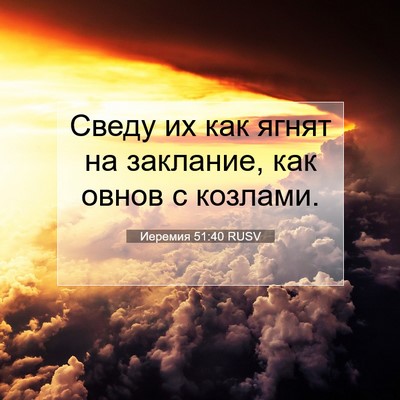 Picture 07 - Иеремия 51:40 RUSV - Сведу их как ягнят на - Bible Verse Picture