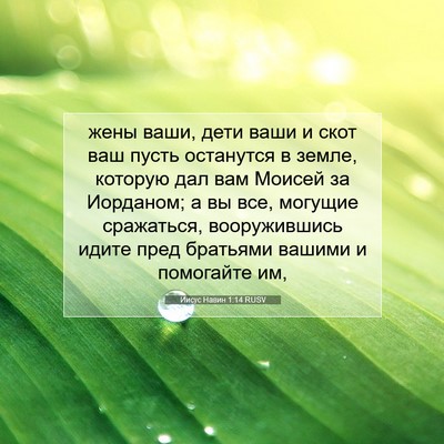 Picture 07 - Иисус Навин 1:14 RUSV - жены ваши, дети ваши и скот - Bible Verse Picture