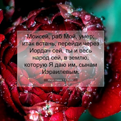 Picture 07 - Иисус Навин 1:2 RUSV - Моисей, раб Мой, умер; итак - Bible Verse Picture