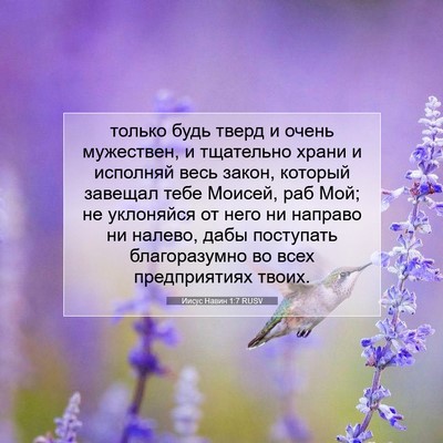 Picture 07 - Иисус Навин 1:7 RUSV - только будь тверд и очень - Bible Verse Picture