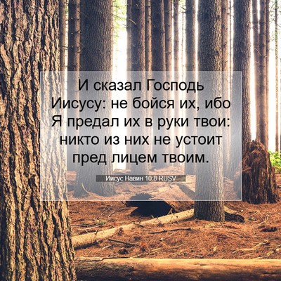 Picture 07 - Иисус Навин 10:8 RUSV - И сказал Господь Иисусу: не - Bible Verse Picture