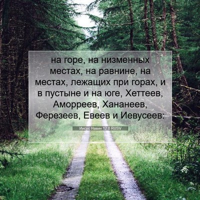 Picture 07 - Иисус Навин 12:8 RUSV - на горе, на низменных - Bible Verse Picture