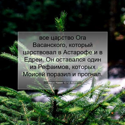 Picture 07 - Иисус Навин 13:12 RUSV - все царство Ога - Bible Verse Picture