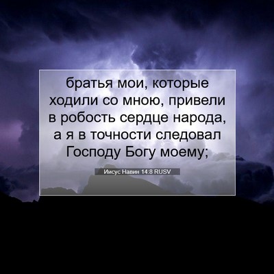 Picture 07 - Иисус Навин 14:8 RUSV - братья мои, которые ходили - Bible Verse Picture