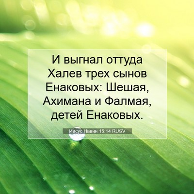 Picture 07 - Иисус Навин 15:14 RUSV - И выгнал оттуда Халев трех - Bible Verse Picture