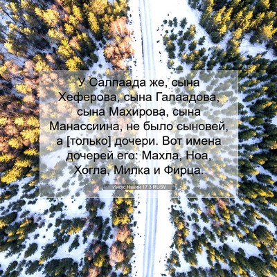 Picture 07 - Иисус Навин 17:3 RUSV - У Салпаада же, сына - Bible Verse Picture