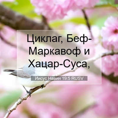 Picture 07 - Иисус Навин 19:5 RUSV - Циклаг, Беф-Маркавоф и - Bible Verse Picture