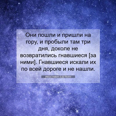 Picture 07 - Иисус Навин 2:22 RUSV - Они пошли и пришли на гору, - Bible Verse Picture