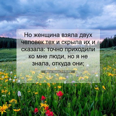 Picture 07 - Иисус Навин 2:4 RUSV - Но женщина взяла двух - Bible Verse Picture