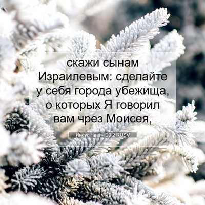 Picture 07 - Иисус Навин 20:2 RUSV - скажи сынам Израилевым: - Bible Verse Picture