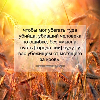 Picture 07 - Иисус Навин 20:3 RUSV - чтобы мог убегать туда - Bible Verse Picture
