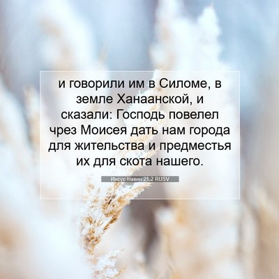 Picture 07 - Иисус Навин 21:2 RUSV - и говорили им в Силоме, в - Bible Verse Picture