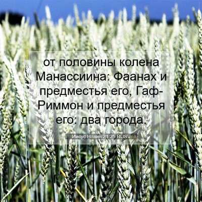 Picture 07 - Иисус Навин 21:25 RUSV - от половины колена - Bible Verse Picture
