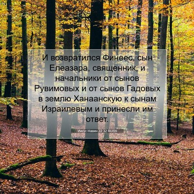 Picture 07 - Иисус Навин 22:32 RUSV - И возвратился Финеес, сын - Bible Verse Picture