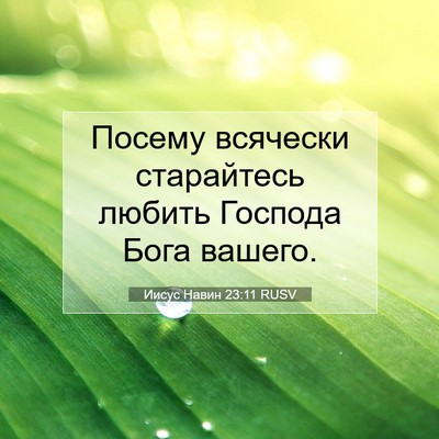 Picture 07 - Иисус Навин 23:11 RUSV - Посему всячески - Bible Verse Picture