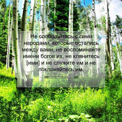 Picture 07 - Иисус Навин 23:7 RUSV - Не сообщайтесь с сими - Bible Verse Picture