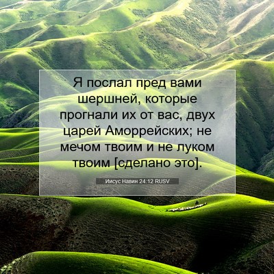 Picture 07 - Иисус Навин 24:12 RUSV - Я послал пред вами шершней, - Bible Verse Picture