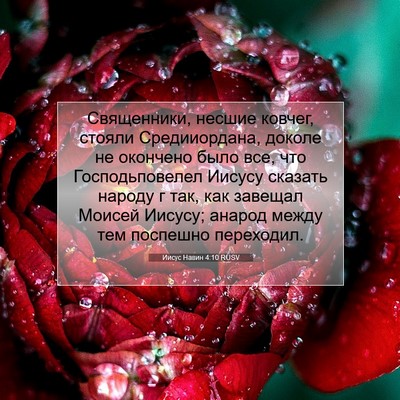 Picture 07 - Иисус Навин 4:10 RUSV - Священники, несшие ковчег, - Bible Verse Picture