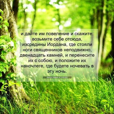Picture 07 - Иисус Навин 4:3 RUSV - и дайте им повеление и - Bible Verse Picture