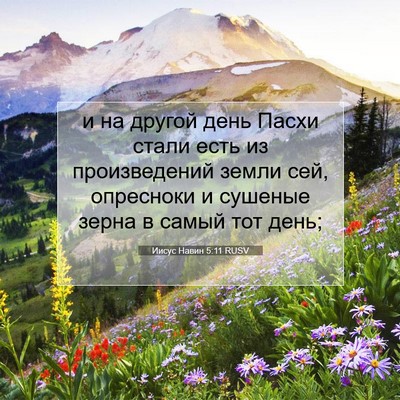 Picture 07 - Иисус Навин 5:11 RUSV - и на другой день Пасхи - Bible Verse Picture