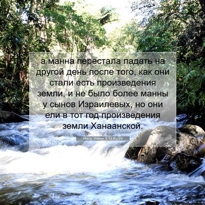 Picture 07 - Иисус Навин 5:12 RUSV - а манна перестала падать - Bible Verse Picture