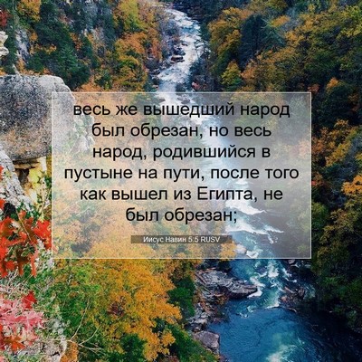 Picture 07 - Иисус Навин 5:5 RUSV - весь же вышедший народ был - Bible Verse Picture