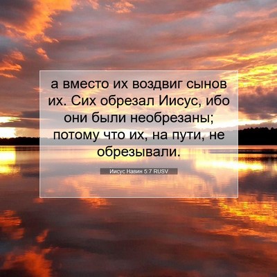 Picture 07 - Иисус Навин 5:7 RUSV - а вместо их воздвиг сынов - Bible Verse Picture