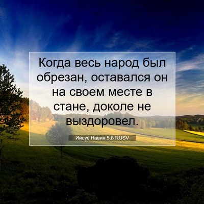 Picture 07 - Иисус Навин 5:8 RUSV - Когда весь народ был - Bible Verse Picture