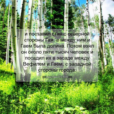 Picture 07 - Иисус Навин 8:12 RUSV - и поставил стан с северной - Bible Verse Picture