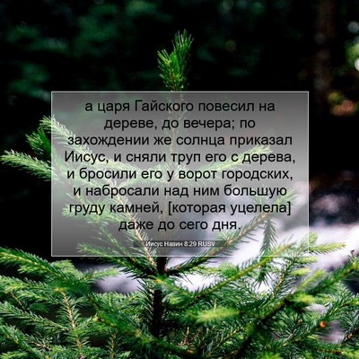 Picture 07 - Иисус Навин 8:29 RUSV - а царя Гайского повесил на - Bible Verse Picture