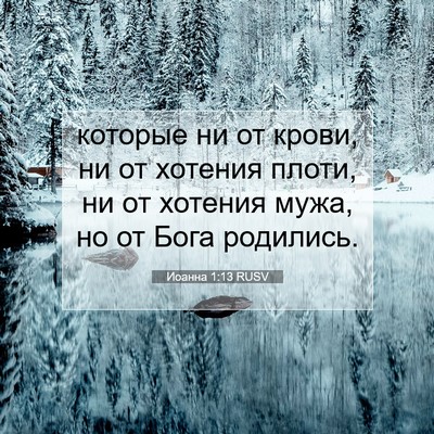 Picture 07 - Иоанна 1:13 RUSV - которые ни от крови, ни от - Bible Verse Picture