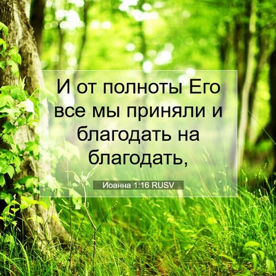 Picture 07 - Иоанна 1:16 RUSV - И от полноты Его все мы - Bible Verse Picture