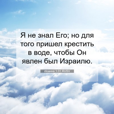 Picture 07 - Иоанна 1:31 RUSV - Я не знал Его; но для того - Bible Verse Picture