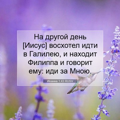 Picture 07 - Иоанна 1:43 RUSV - На другой день [Иисус] - Bible Verse Picture
