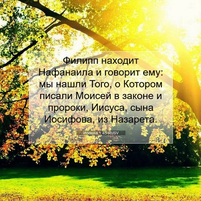 Picture 07 - Иоанна 1:45 RUSV - Филипп находит Нафанаила и - Bible Verse Picture