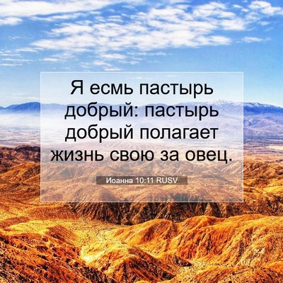 Picture 07 - Иоанна 10:11 RUSV - Я есмь пастырь добрый: - Bible Verse Picture