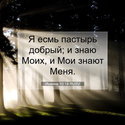 Picture 07 - Иоанна 10:14 RUSV - Я есмь пастырь добрый; и - Bible Verse Picture