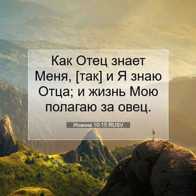 Picture 07 - Иоанна 10:15 RUSV - Как Отец знает Меня, [так] и - Bible Verse Picture