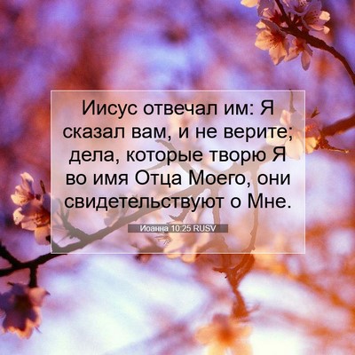 Picture 07 - Иоанна 10:25 RUSV - Иисус отвечал им: Я сказал - Bible Verse Picture