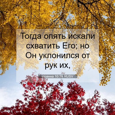 Picture 07 - Иоанна 10:39 RUSV - Тогда опять искали - Bible Verse Picture