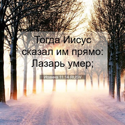Picture 07 - Иоанна 11:14 RUSV - Тогда Иисус сказал им - Bible Verse Picture