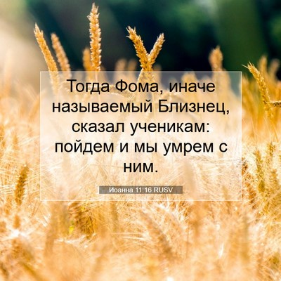 Picture 07 - Иоанна 11:16 RUSV - Тогда Фома, иначе - Bible Verse Picture