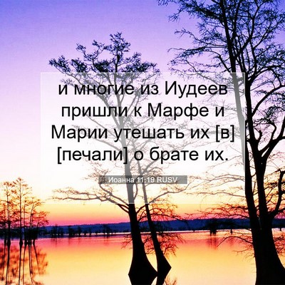 Picture 07 - Иоанна 11:19 RUSV - и многие из Иудеев пришли к - Bible Verse Picture