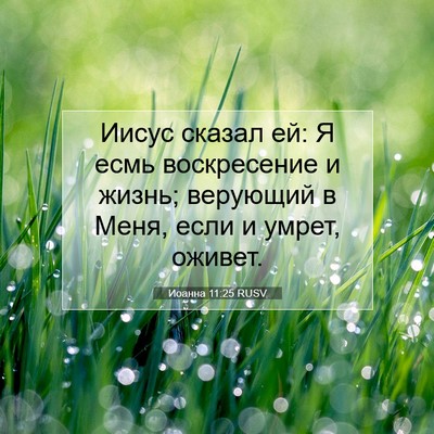 Picture 07 - Иоанна 11:25 RUSV - Иисус сказал ей: Я есмь - Bible Verse Picture