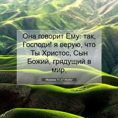 Picture 07 - Иоанна 11:27 RUSV - Она говорит Ему: так, - Bible Verse Picture